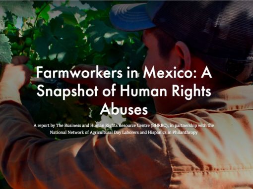 Trabajadores agrícolas en México: una instantánea de los abusos contra los derechos humanos