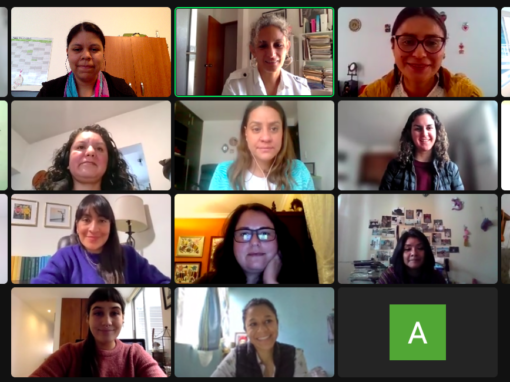 Encuentro virtual colaborativo entre organizaciones que trabajan con jornaleras y jornaleros agrícolas
