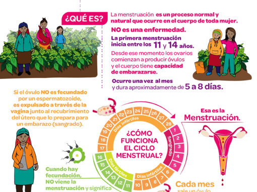 Salud integral para mujeres jornaleras agrícolas