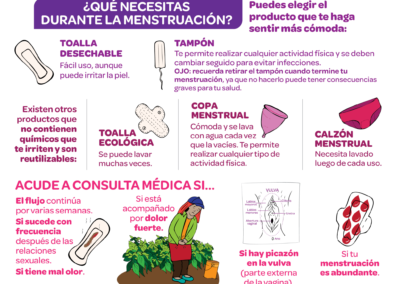 Menstruación digna - Productos para gestionarla