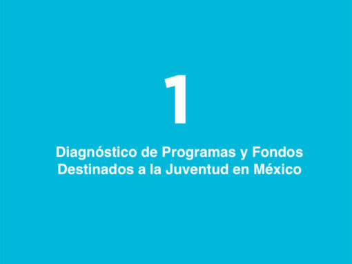 Diagnóstico de Programas y Fondos Destinados a la Juventud en México: Prevención de la Violencia y Construcción de Paz
