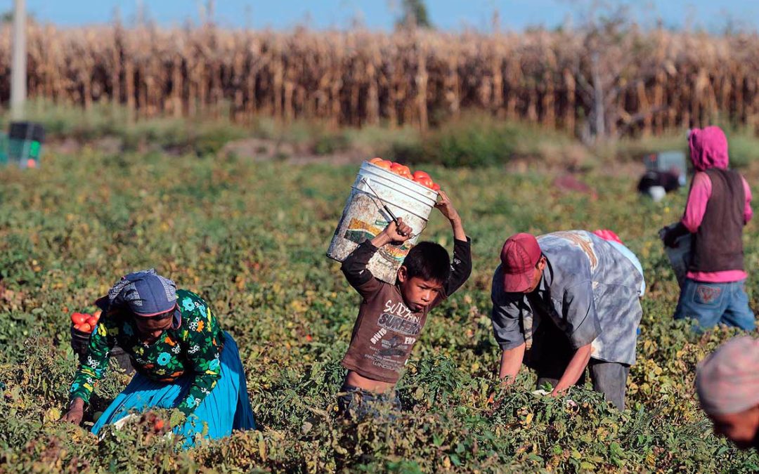 Derecho al Trabajo Decente
