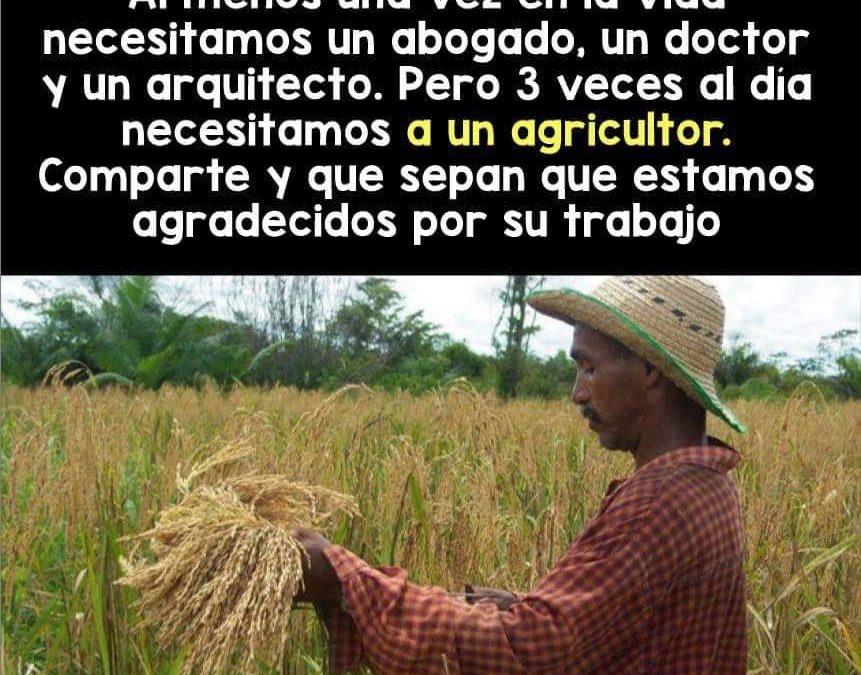 Jornaleros Agrícolas
