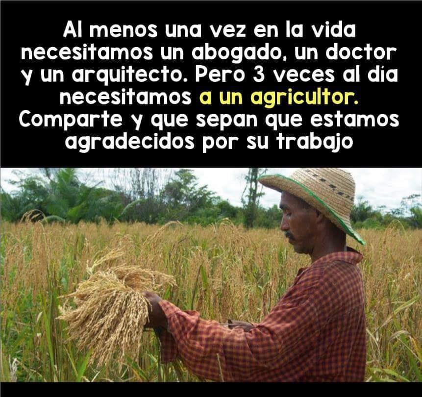 Jornaleros Agrícolas