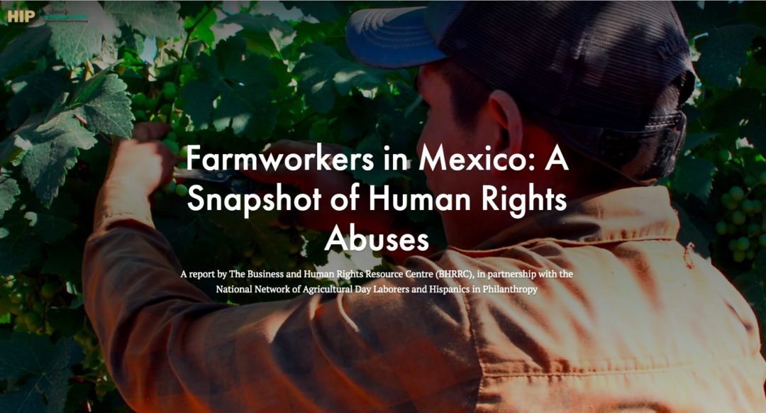 Trabajadores agrícolas en México: una instantánea de los abusos contra los derechos humanos