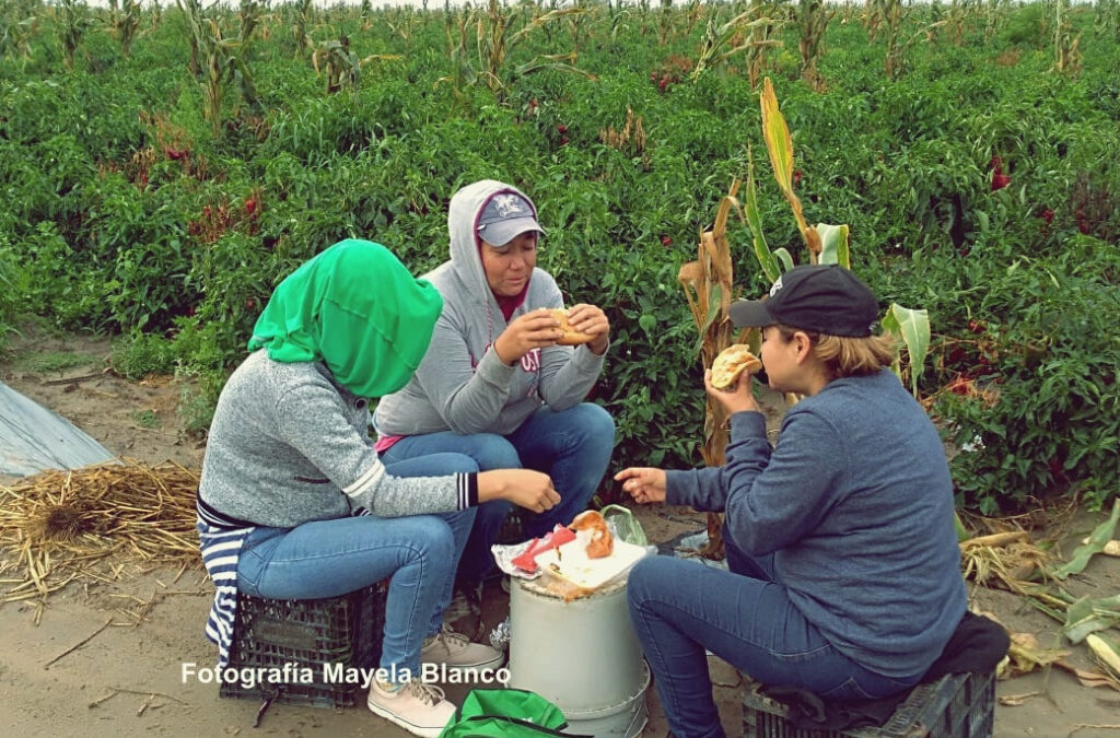 Entrevista: La esclavitud moderna: jornaleras agrícolas en México