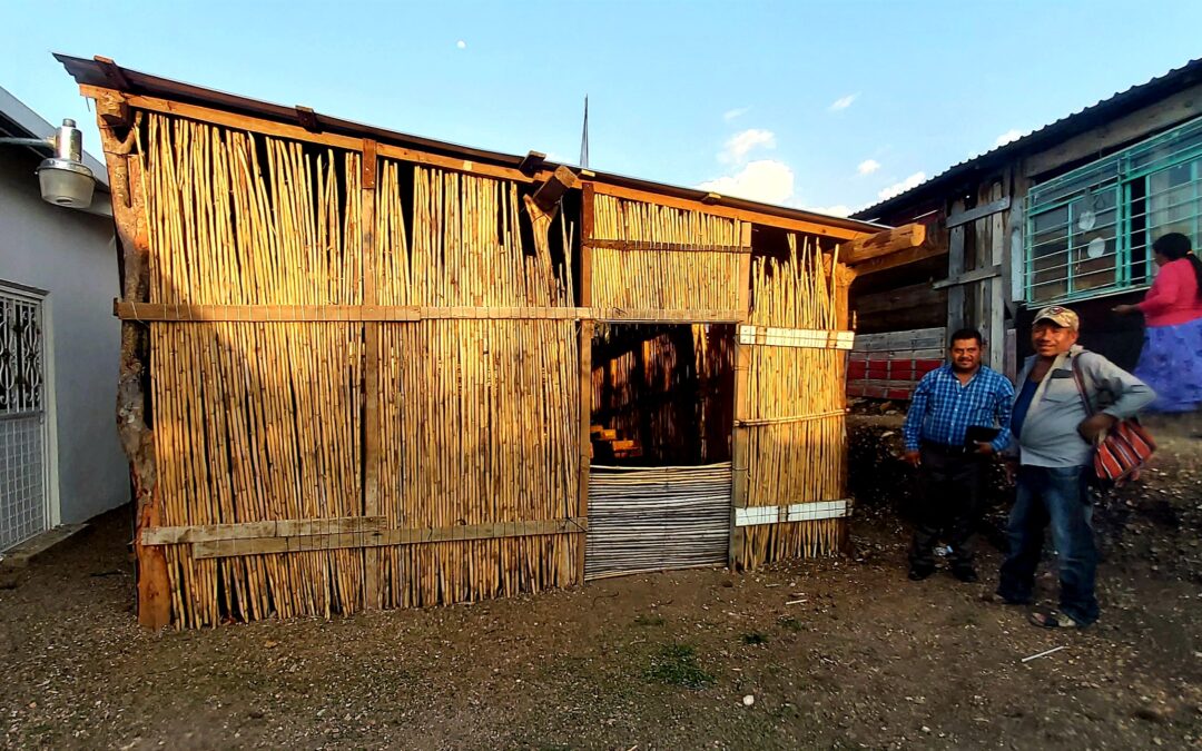 La Montaña de Guerrero: re-conocer, convivir, reconectar