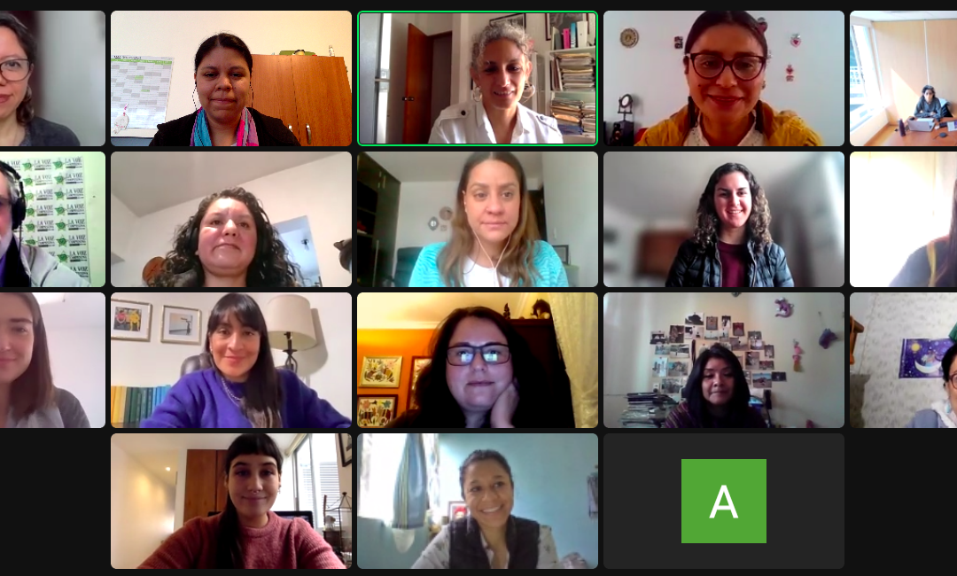 Encuentro virtual colaborativo entre organizaciones que trabajan con jornaleras y jornaleros agrícolas