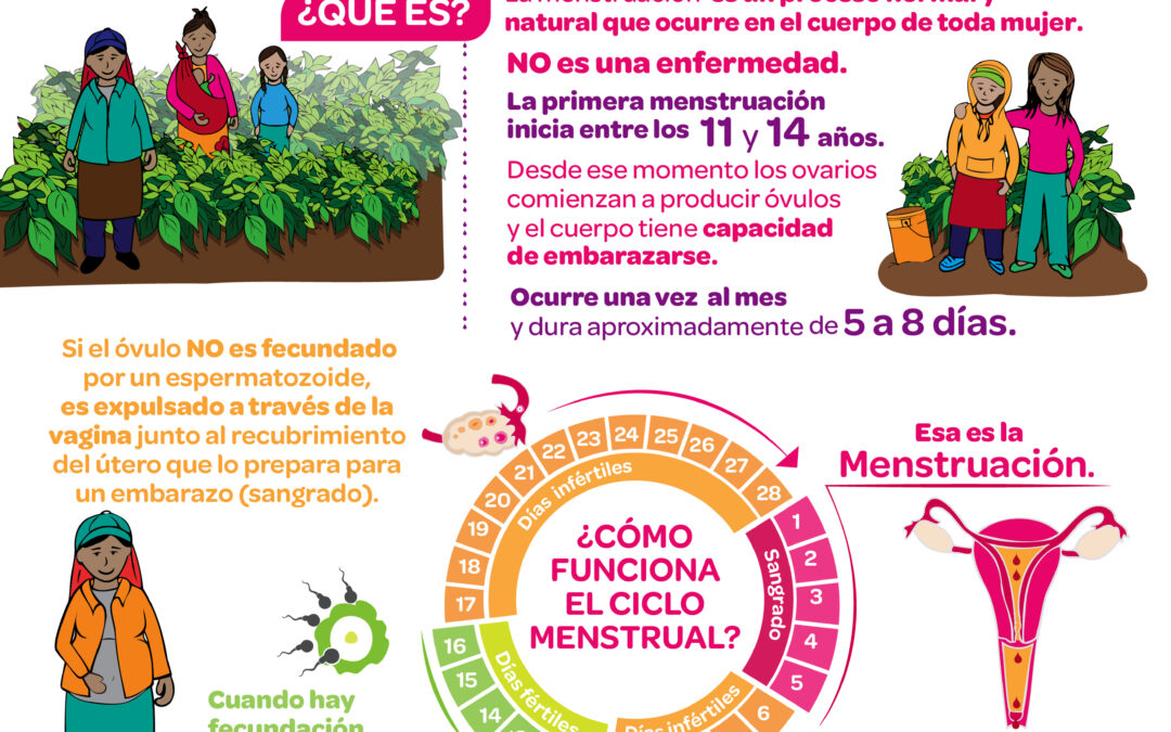 Salud integral para mujeres jornaleras agrícolas