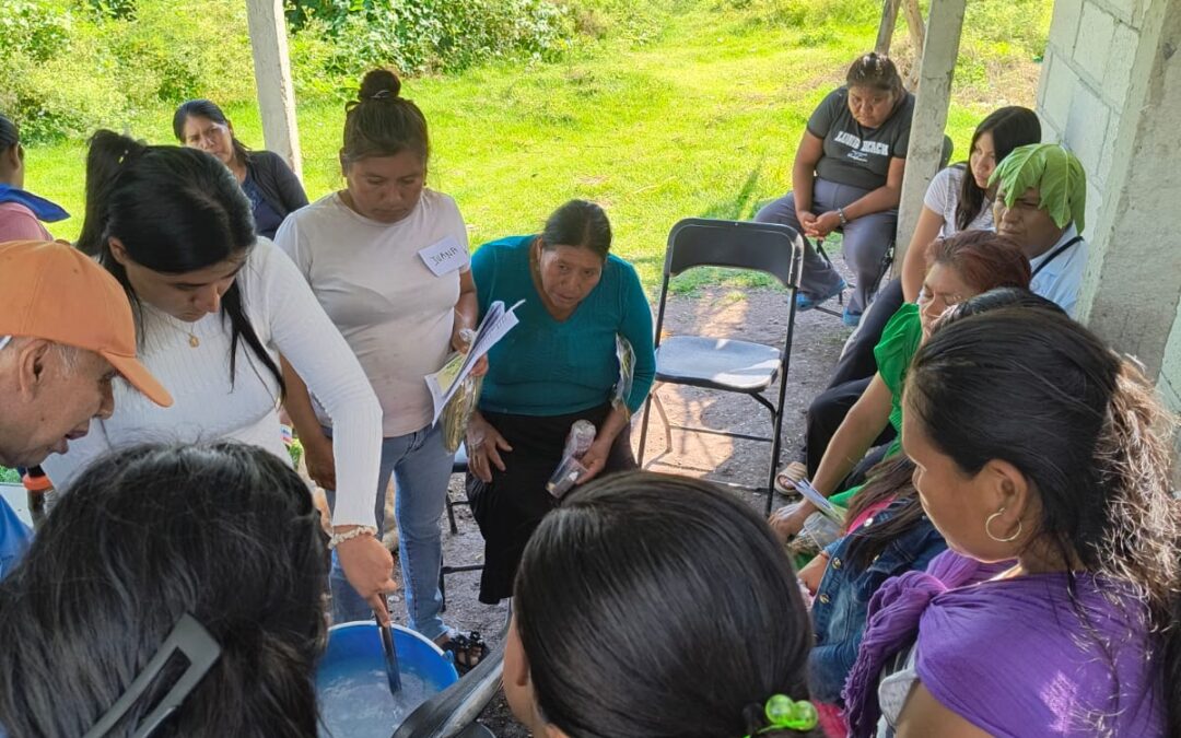 Taller de herbolaria con mujeres jornaleras nahua y na’savi en La Joya, Morelos