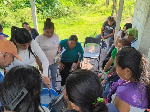 Taller de herbolaria con mujeres jornaleras nahua y na’savi en La Joya, Morelos