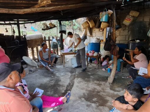 Talleres de medicina herbolaria en comunidades indígenas de Ayotzinapa y Cacahuatepec