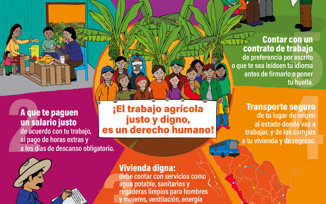 Fortaleciendo derechos y herramientas para mujeres jornaleras agrícolas migrantes